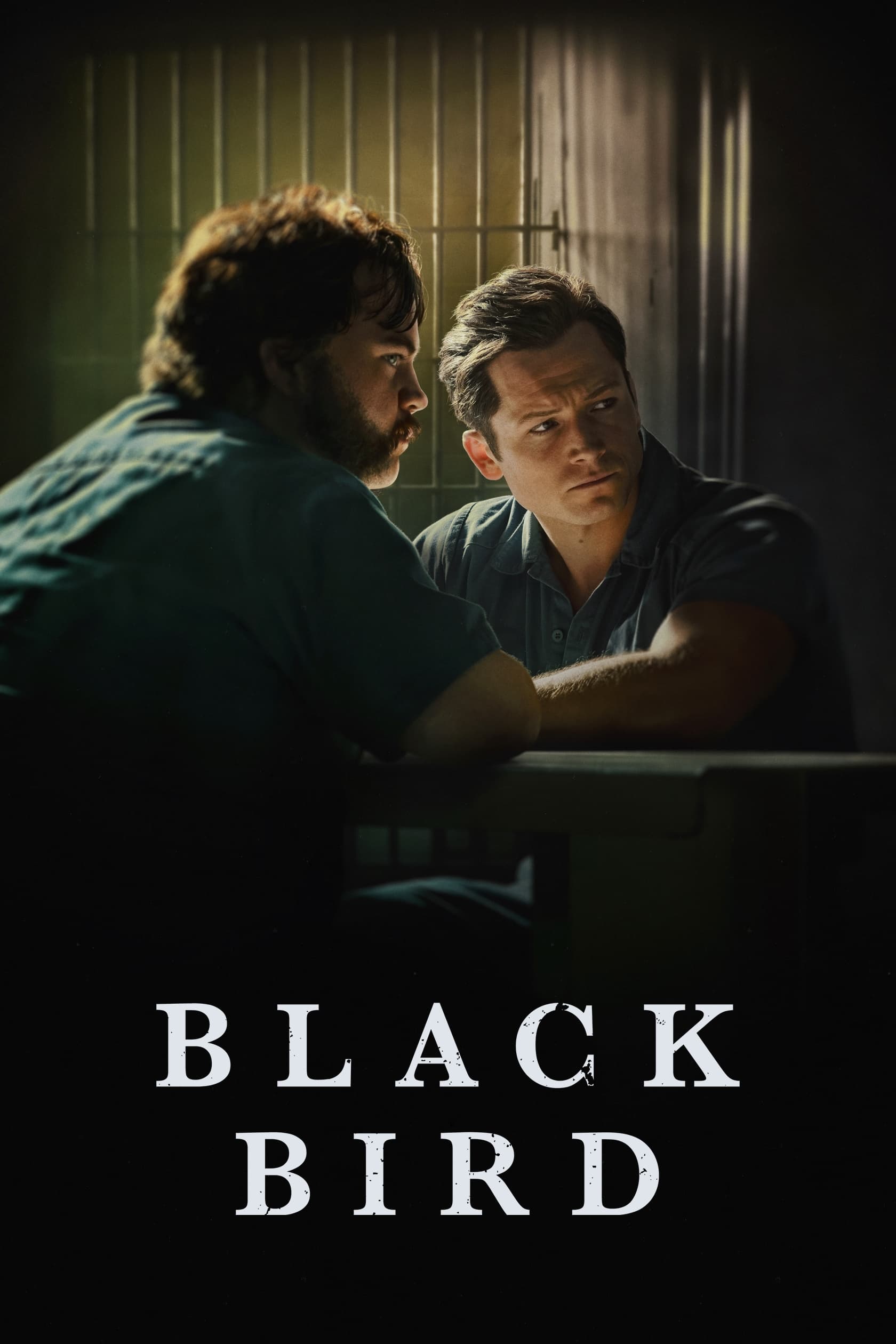 Black Bird [260698] (A1657597366) [[TV Shows]] --Plex--